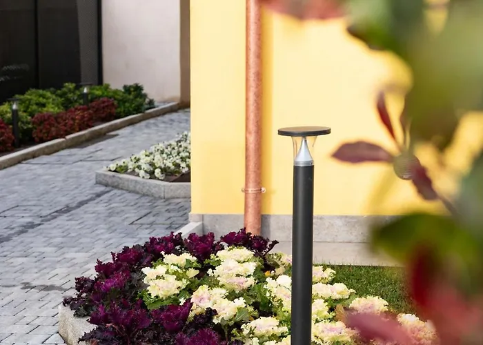 Primula - Cascina Da Rosa